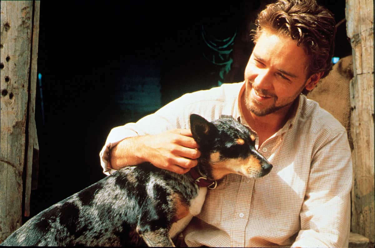 The Silver Brumby, Russell Crowe