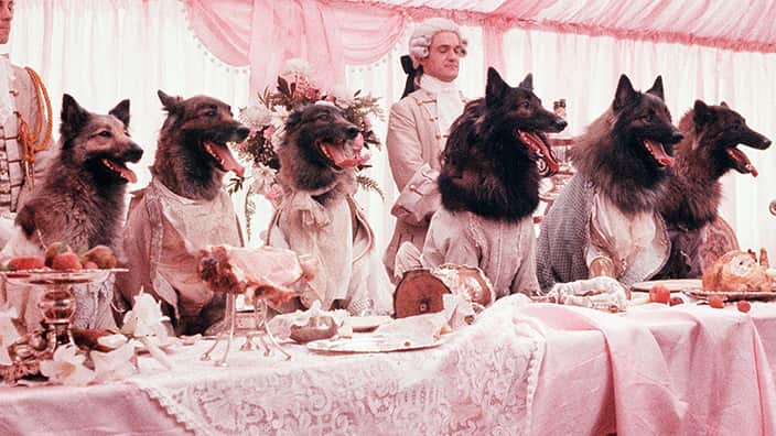 The Company of Wolves