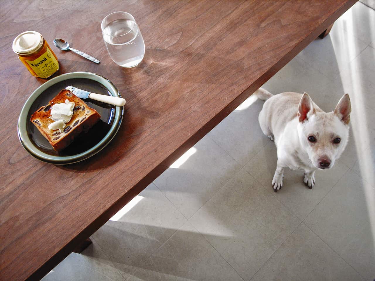 Raisin bread and ume juice