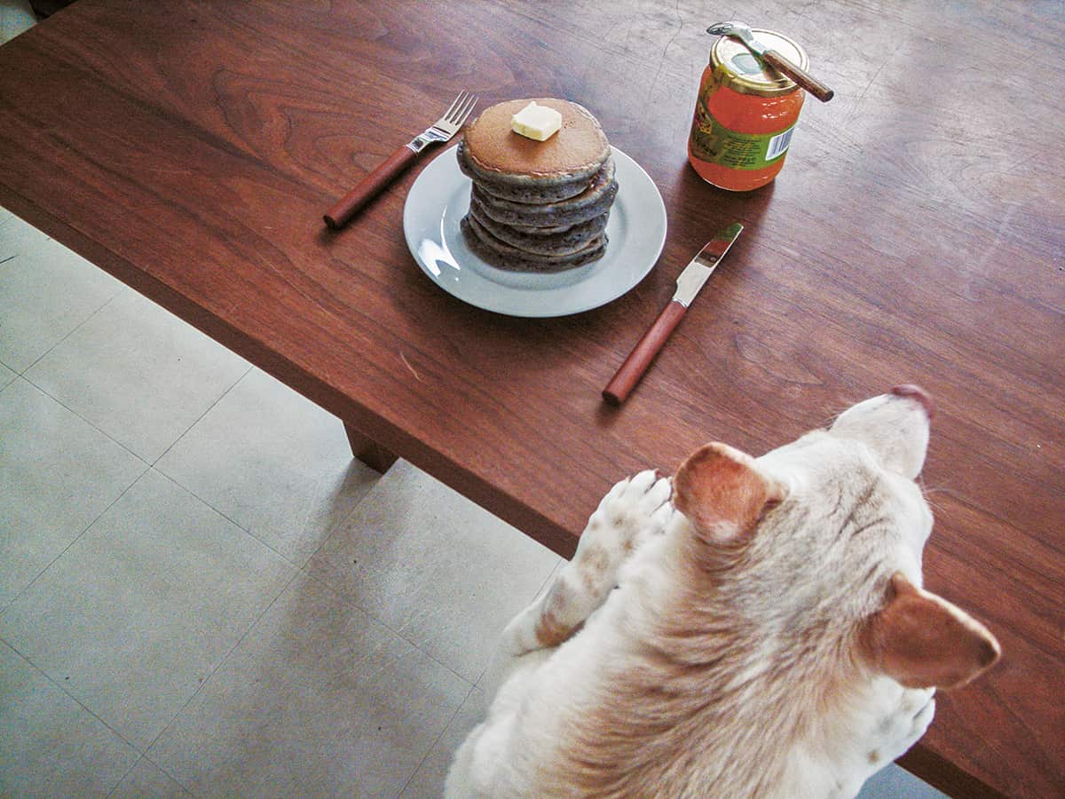 Black sesame pancakes