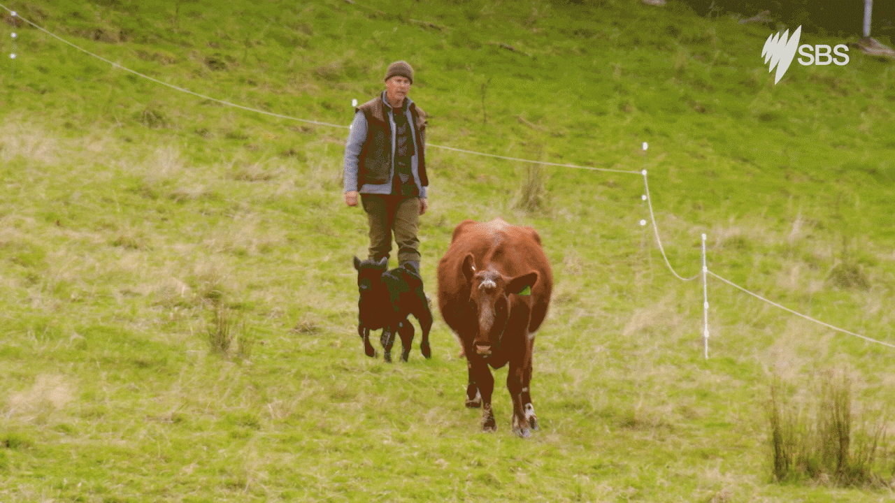 Gourmet Farmer Series 5