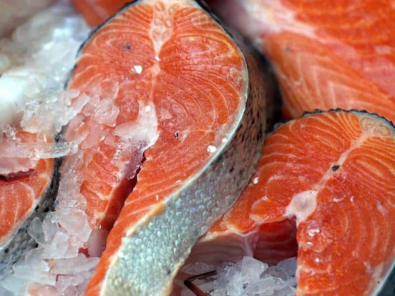 Salmon