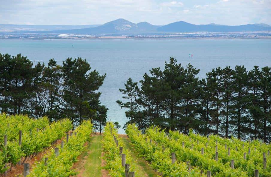 This weekend marks Melbourne Food & Wine’s 26th anniversary.