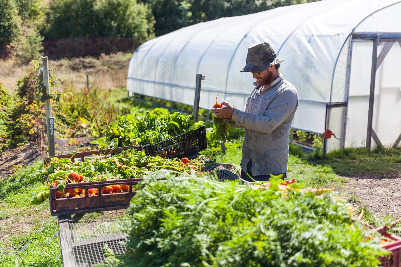 Autumn on Fat Pig Farm, Huon Valley, Tasmania