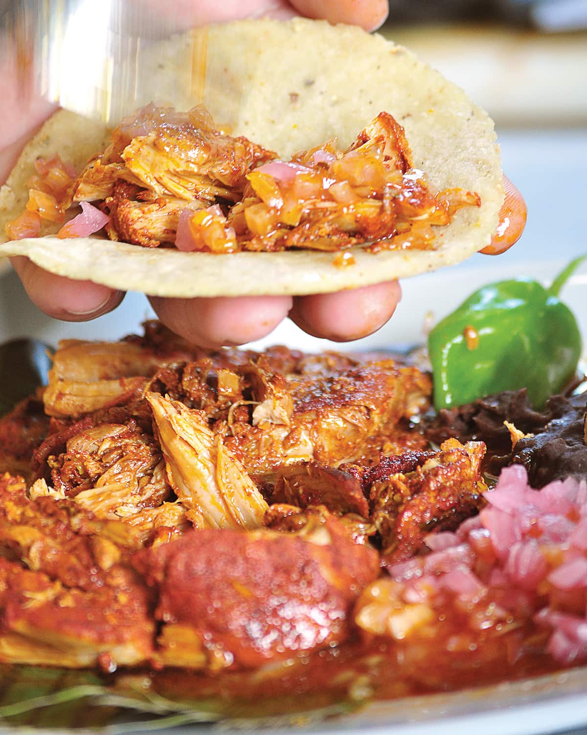 Cochinita pibil tacos