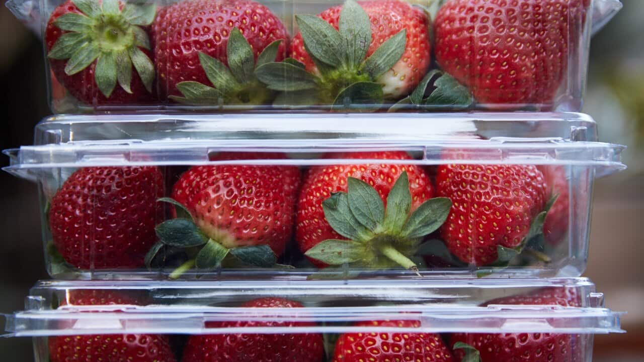 An image of punnets of strawberries.