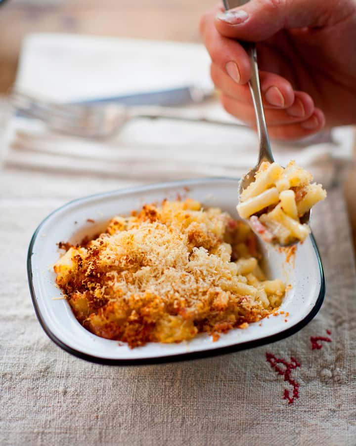 Speck and sour cream macaroni cheese