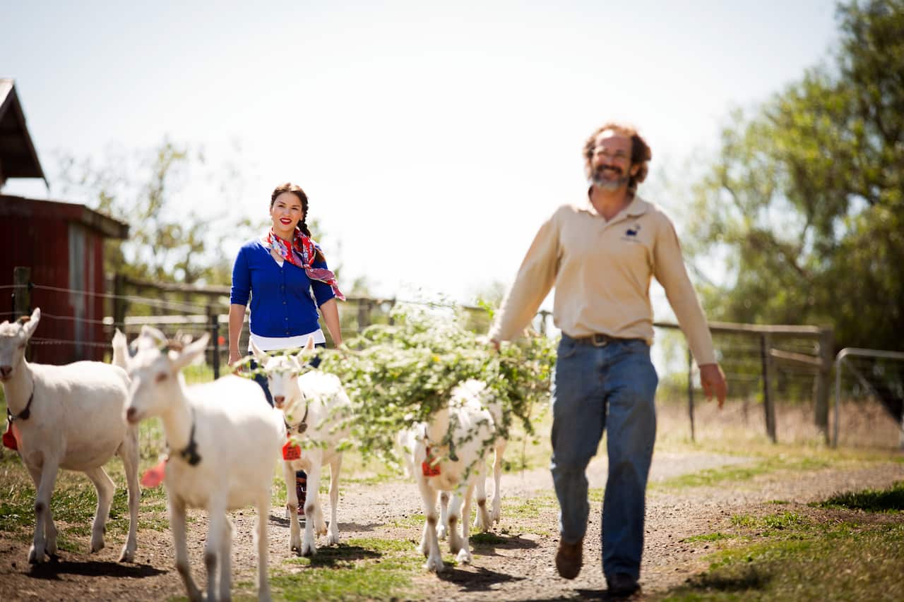 Rachel Khoo, episode 4