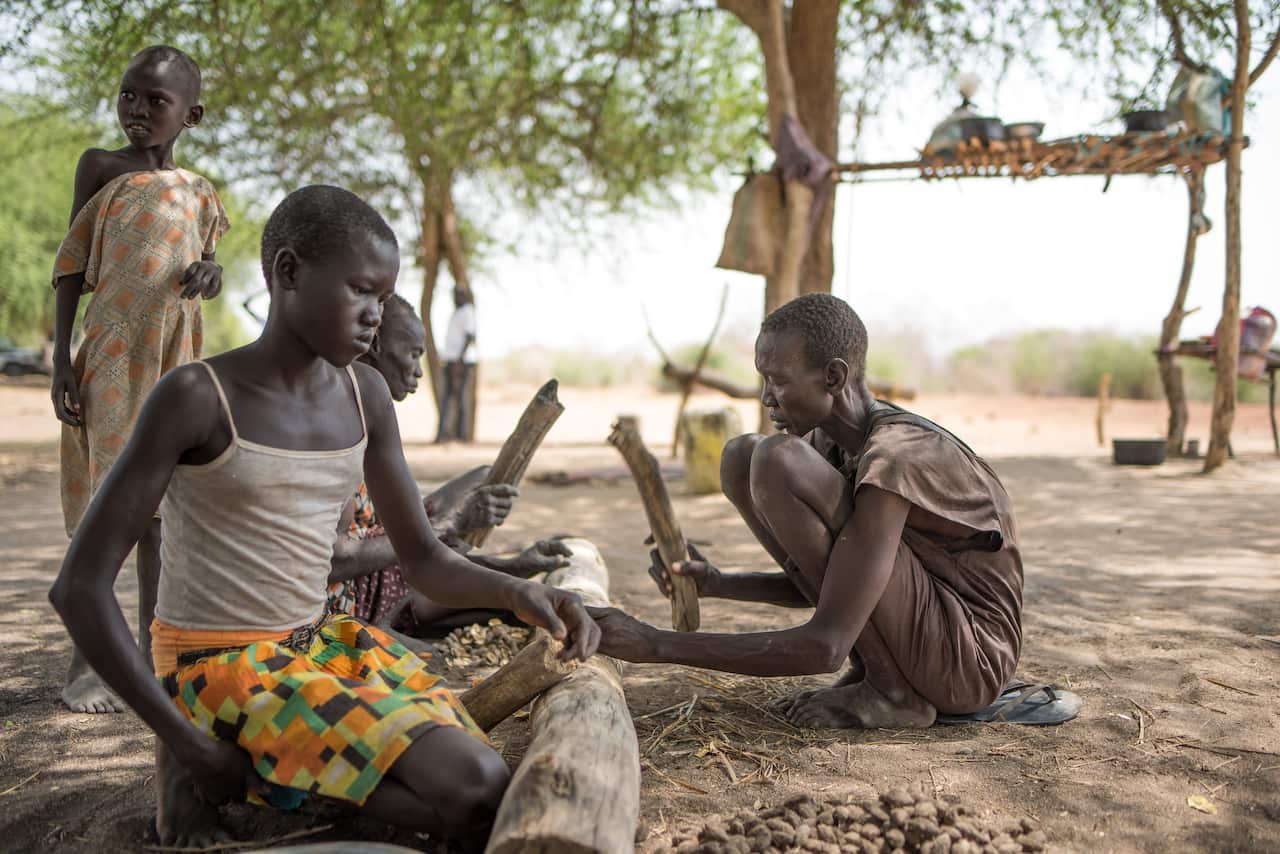 Girls and women in Rumbek, South Sudan, gain access to the wild fruit Laluq, which they typically use to make porridge.