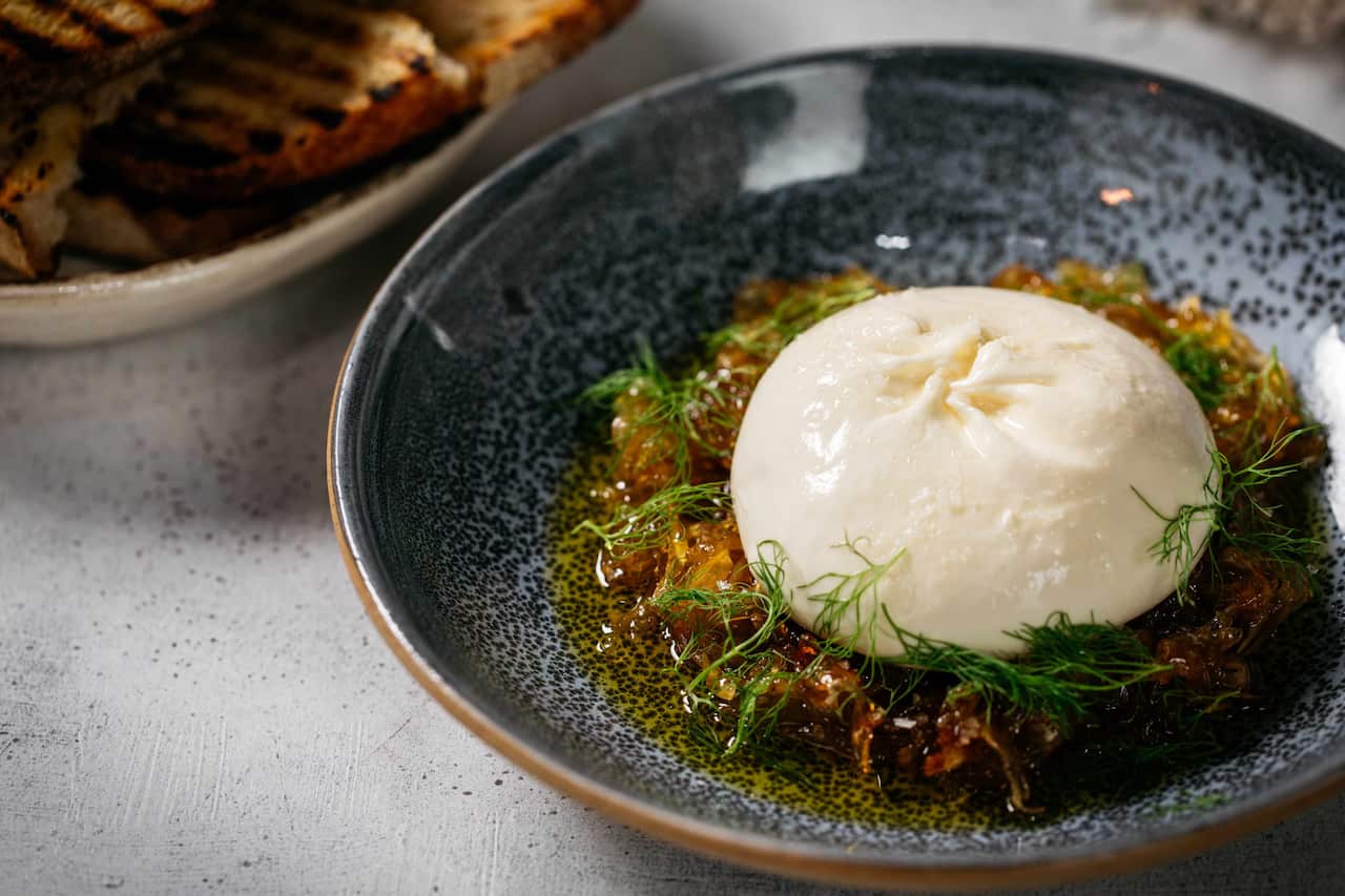 Pickled fennel jam with burrata and grilled bread