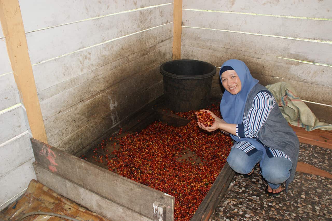 Rizkhani Ani, Chairwoman of Koperasi Kopi Wanita Gayo: Women and coffee