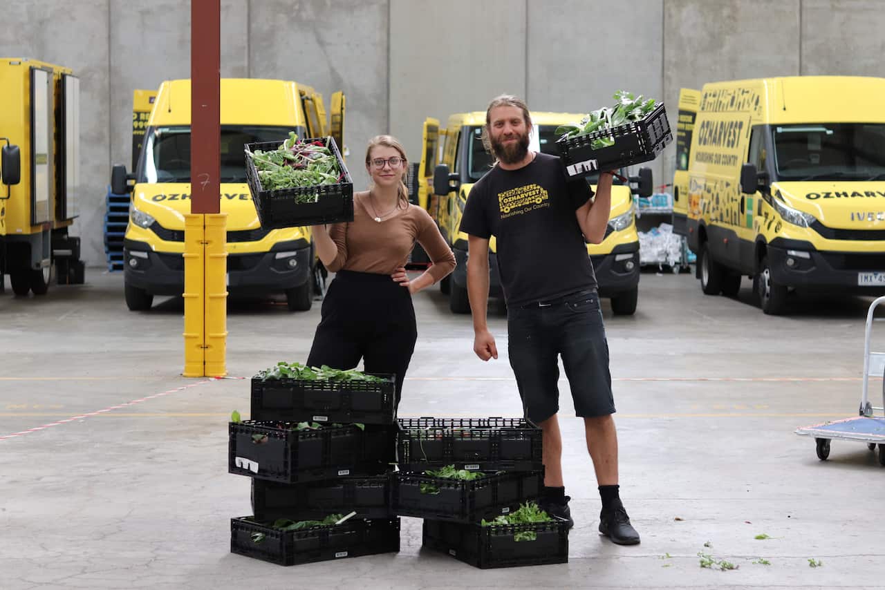 OzHarvest collects the produce grown at the urban farm in Port Melbourne. 