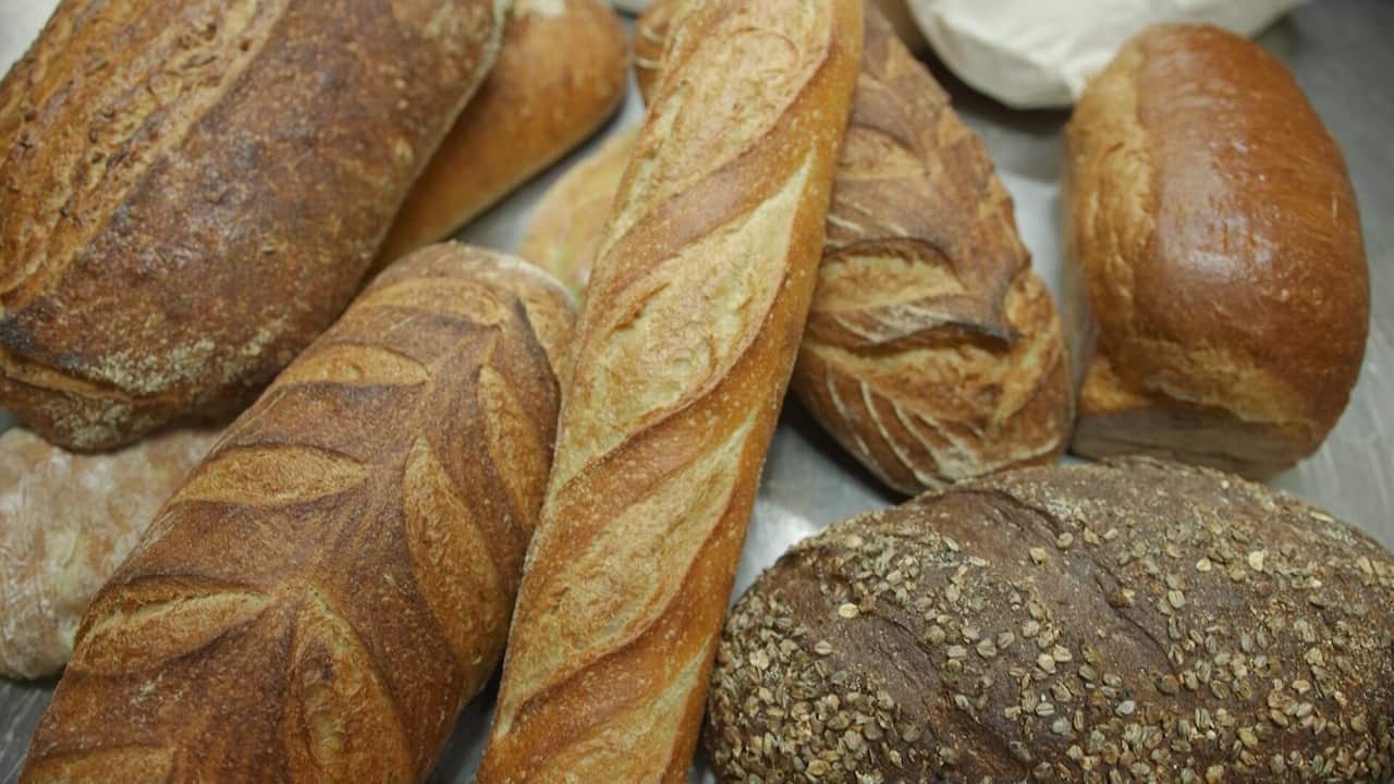 The Bread and Butter Project