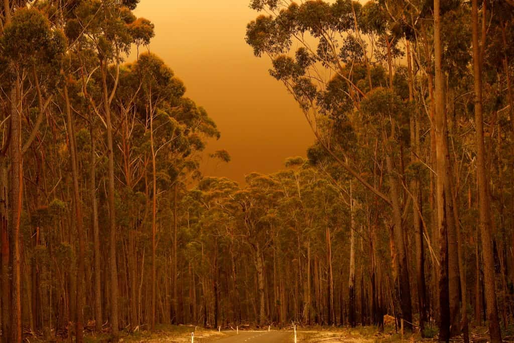 Australia 2019/2020 bushfires