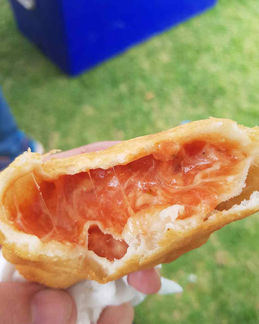 bolognese panzerotto, a panzerotti variety