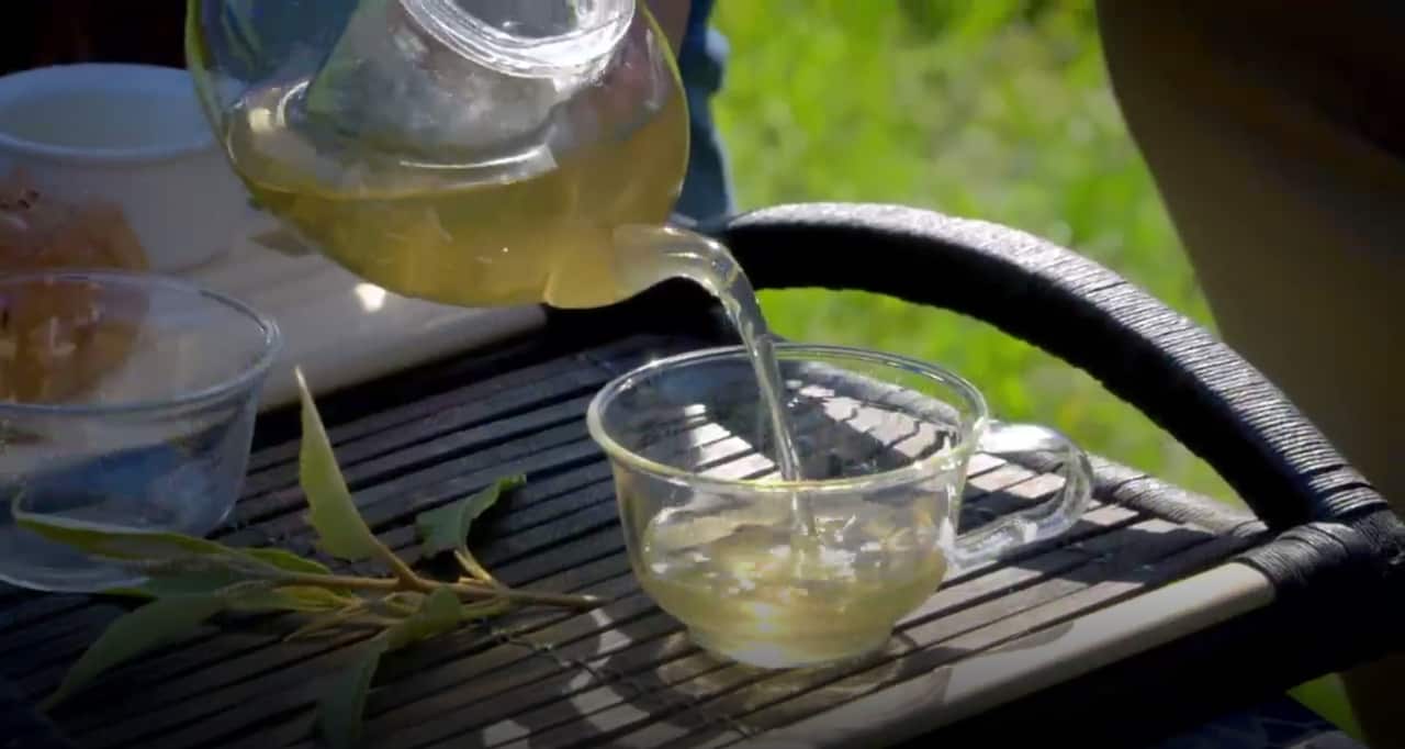 Lemon Myrtle Ice Tea