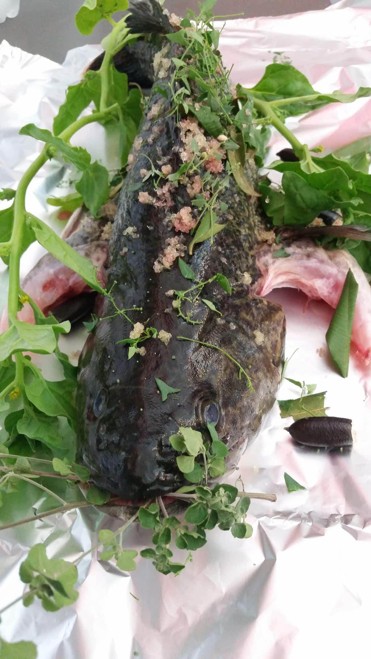 Murray cod with native mint and finger lime