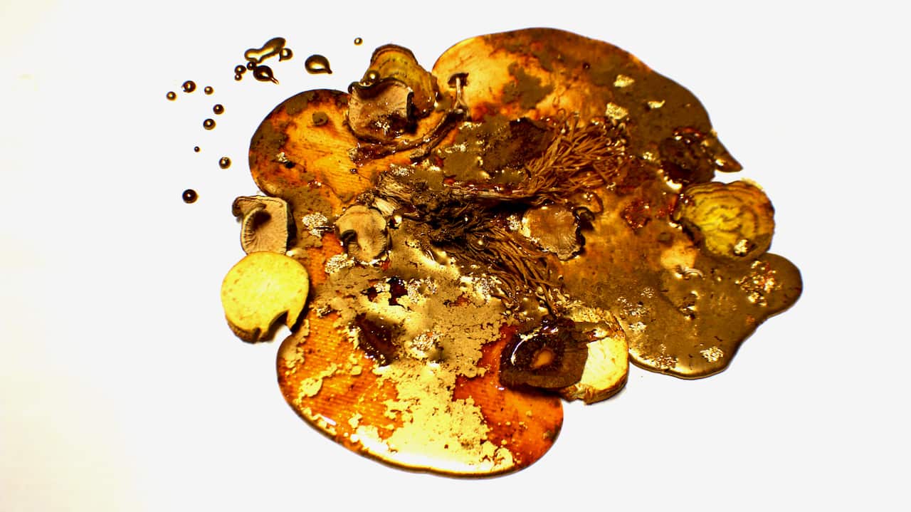 Jamie Tan edible cake