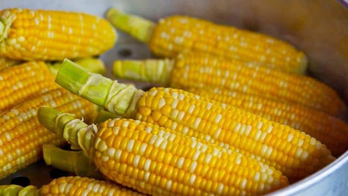 Sweet corn