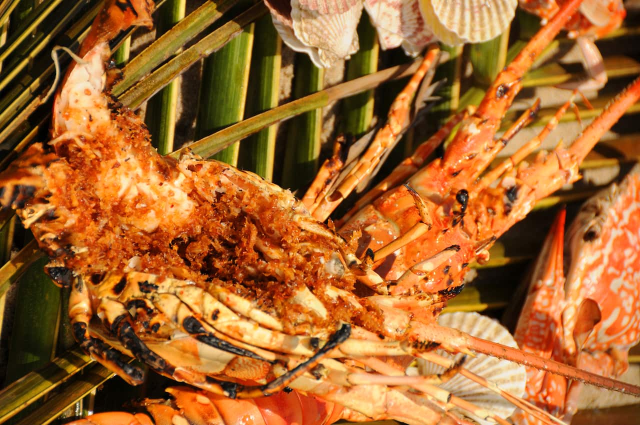 Chargrilled lobster with spicy sate sauce