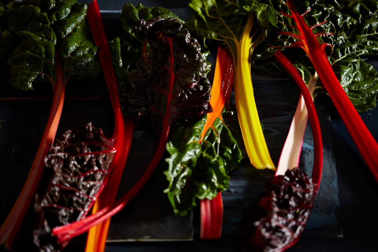 Rainbow chard