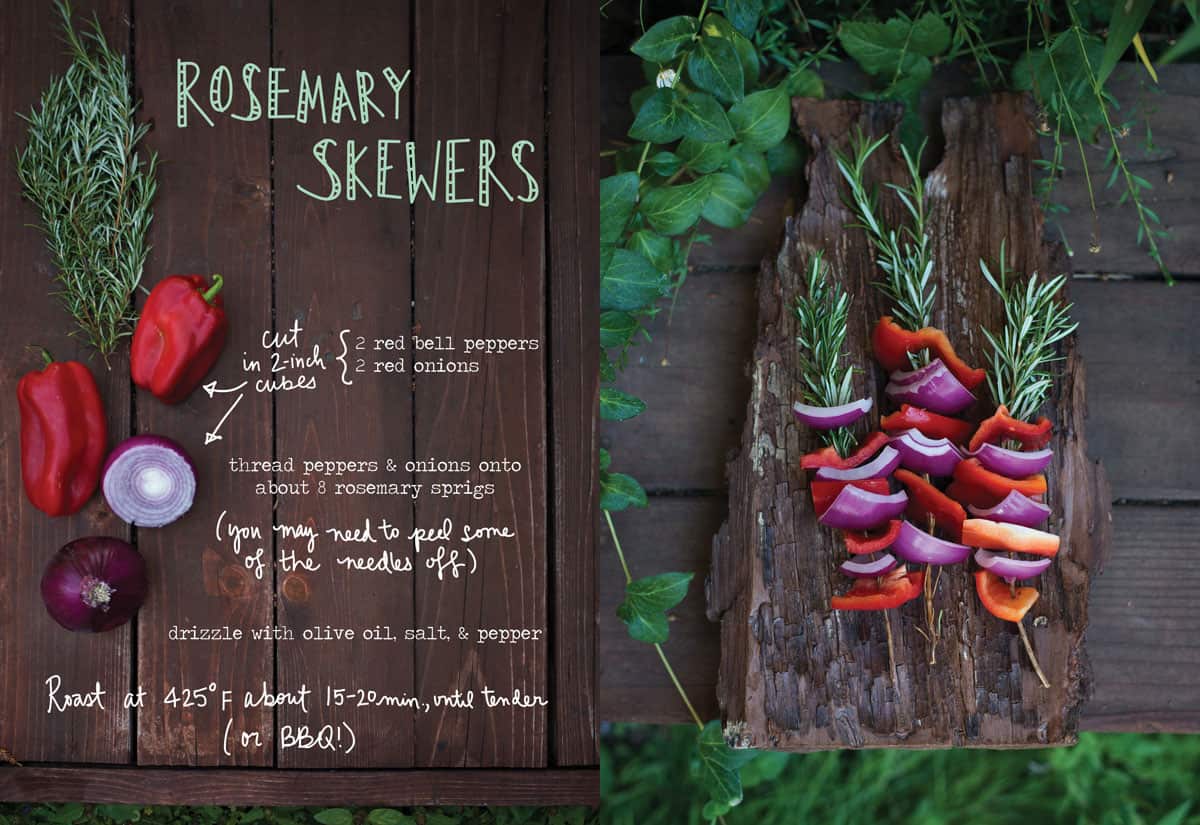 Rosemary_Skewers_ForestFeast.jpg