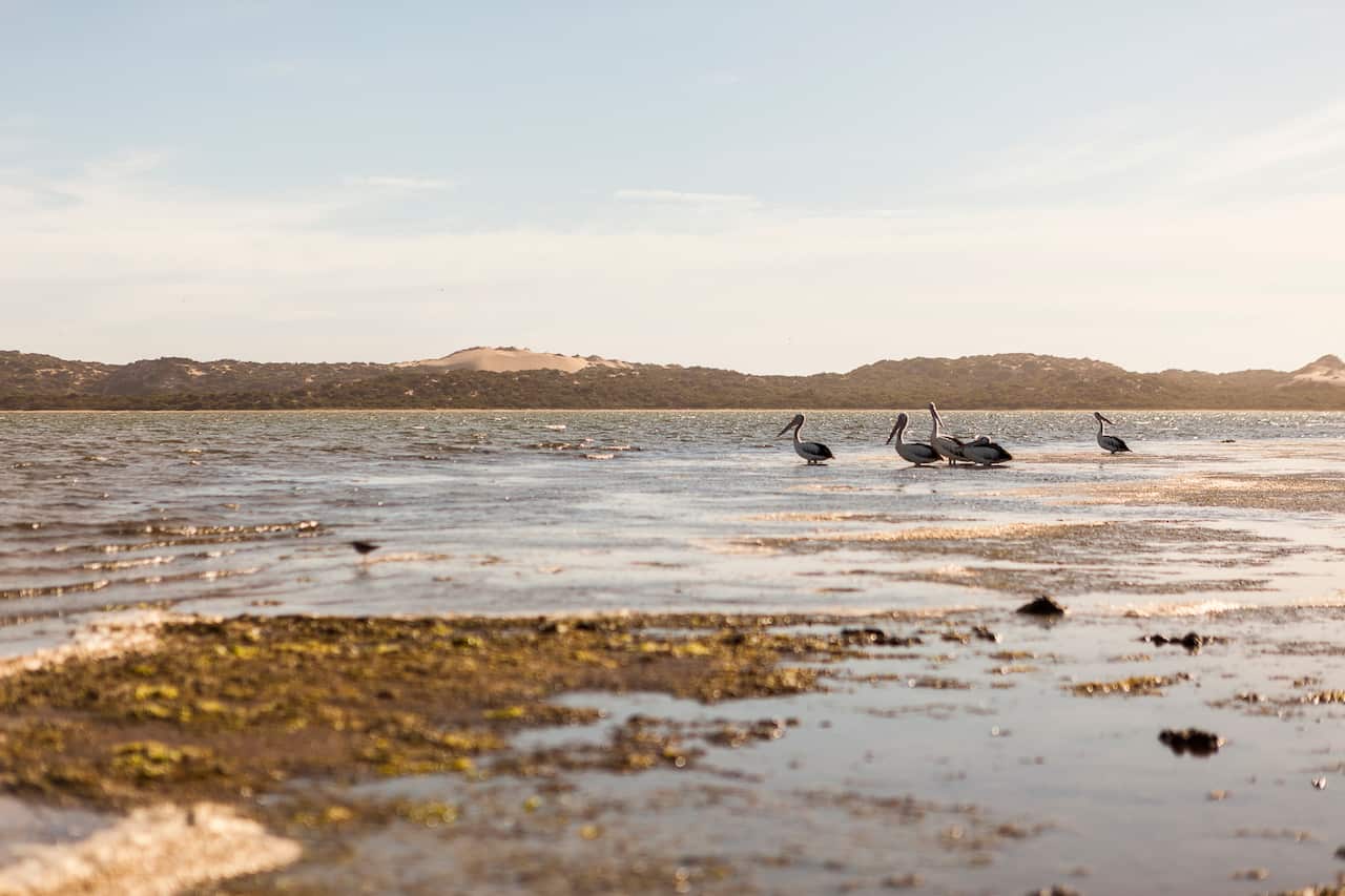 sustainable seafood fishing water 