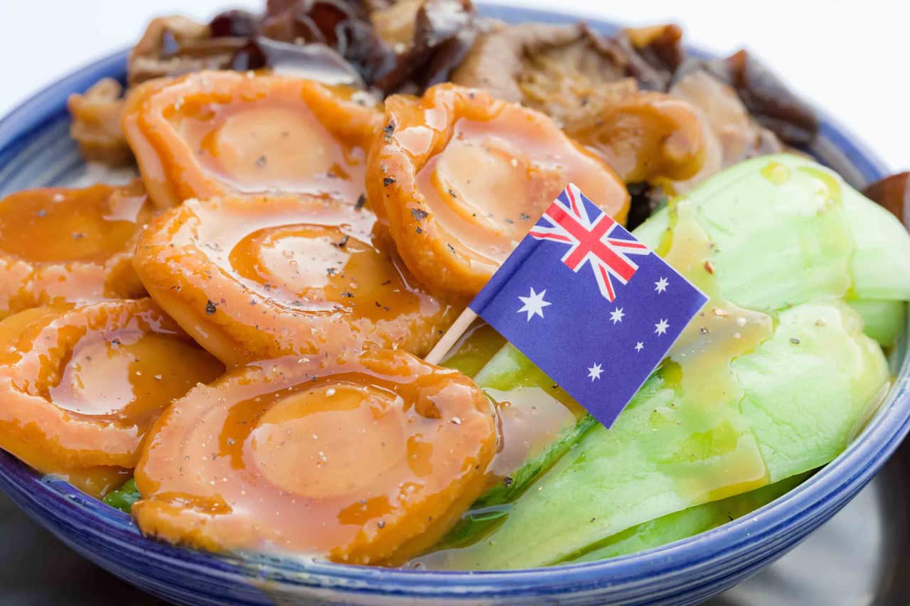 Uni Boom Boom sea urchin