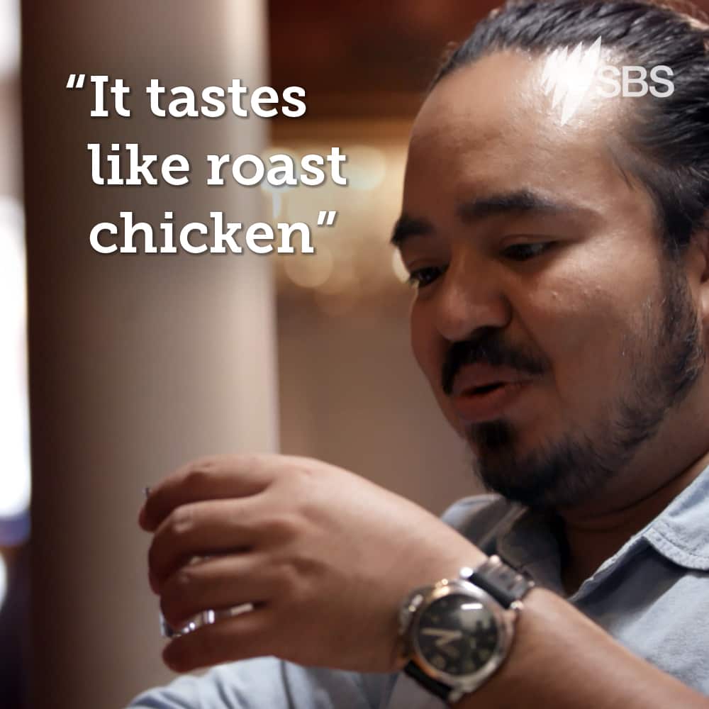 Adam Liaw - Destination Flavour Eurovision