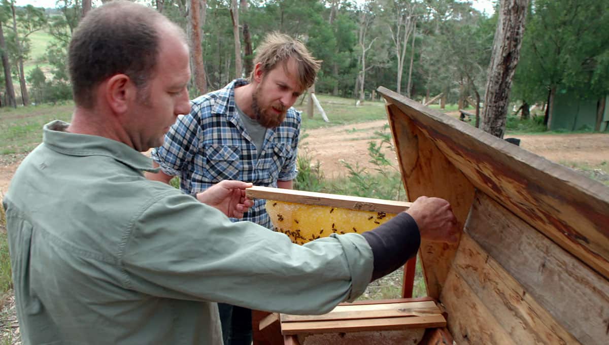 Adrian Iodice Paul West natural beekeeping