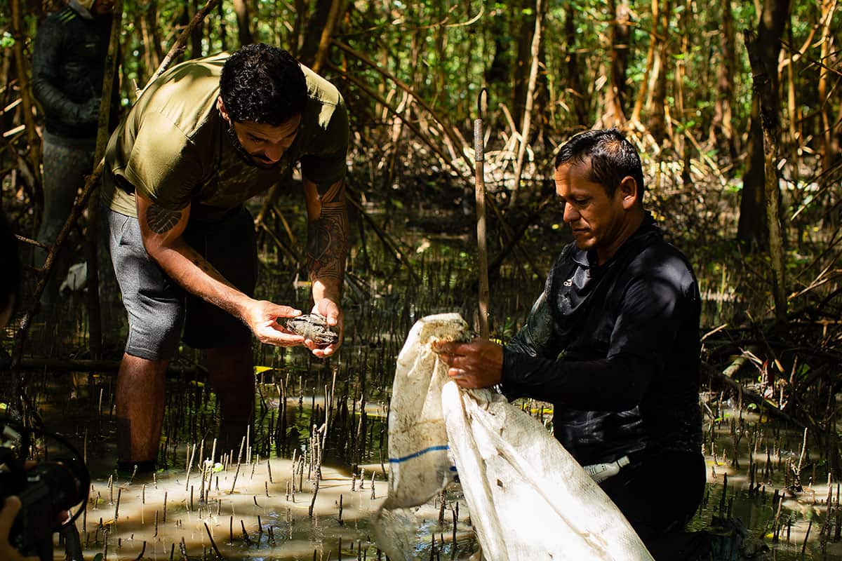 Amazon Taste crabbing