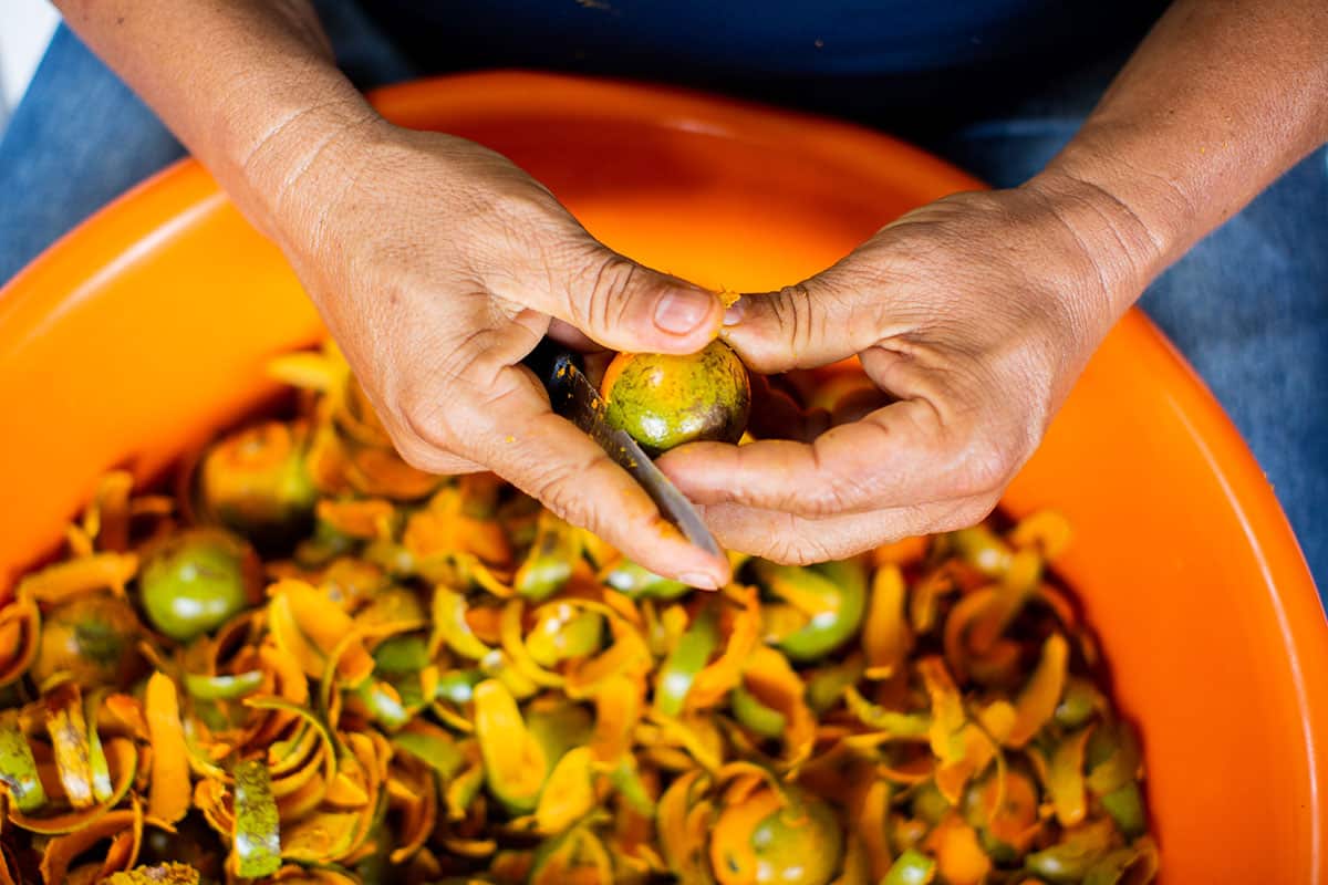 Tucumã in Amazon Taste