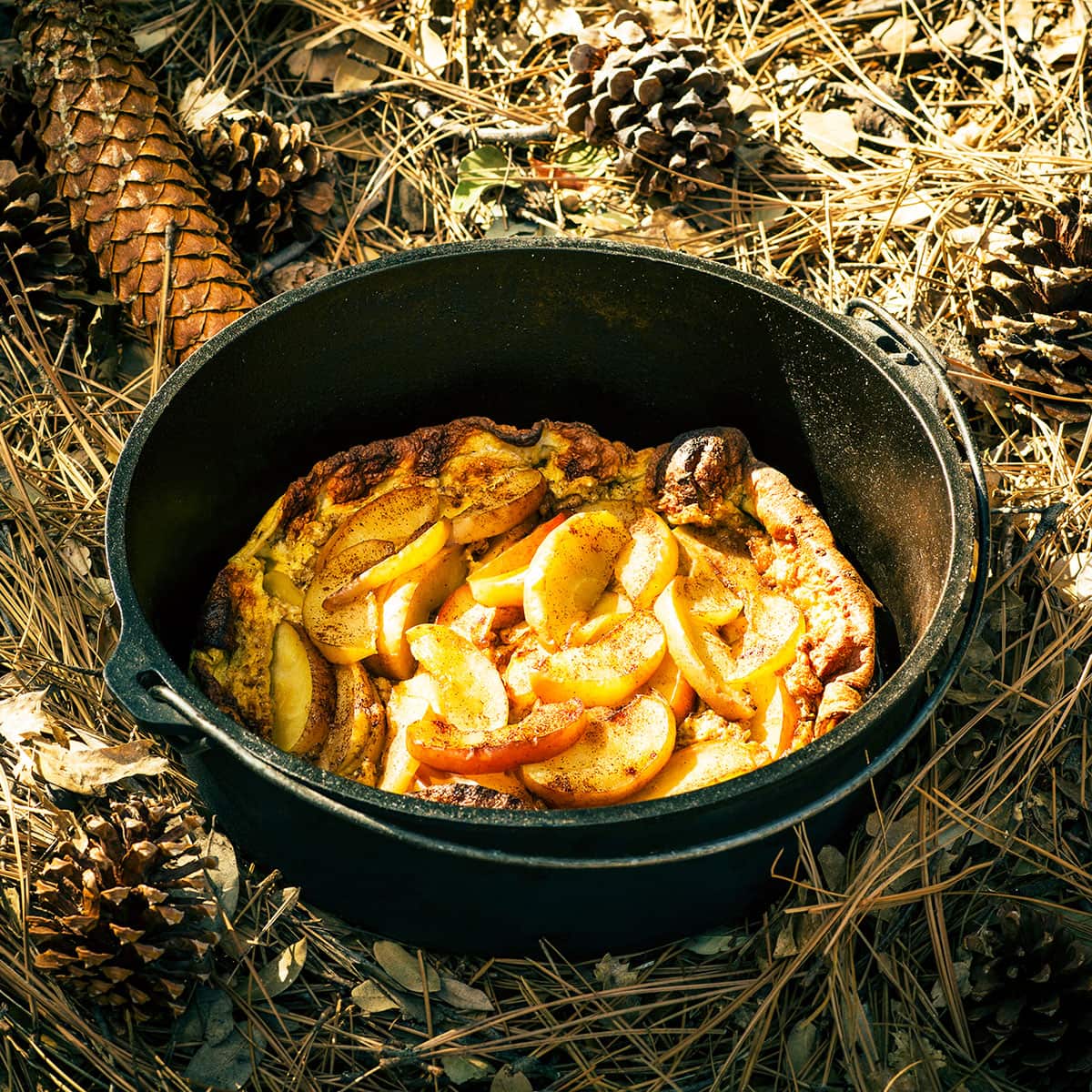 Applelicious Dutch baby