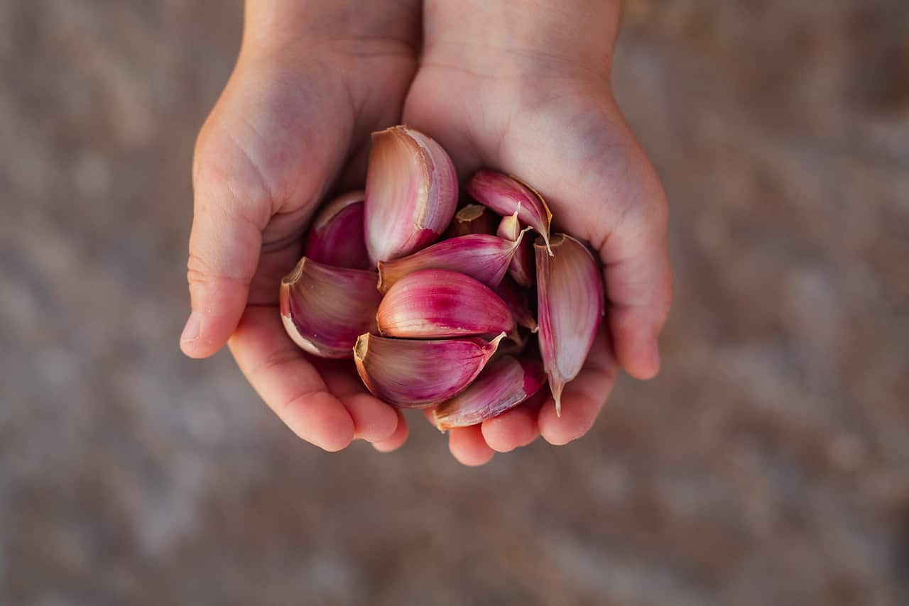 Australian Garlic Growers