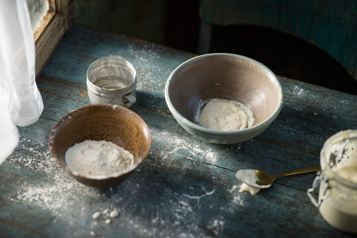 Sourdough starter