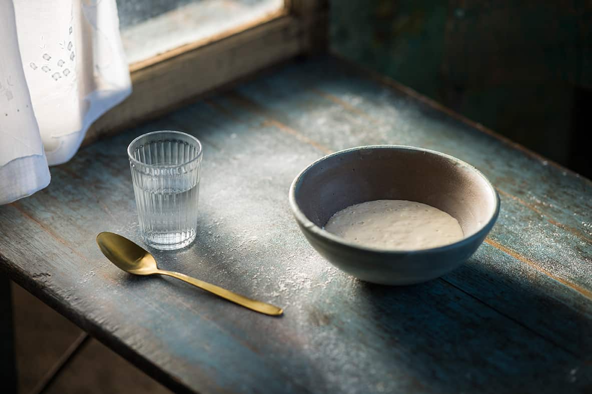 Sourdough starter
