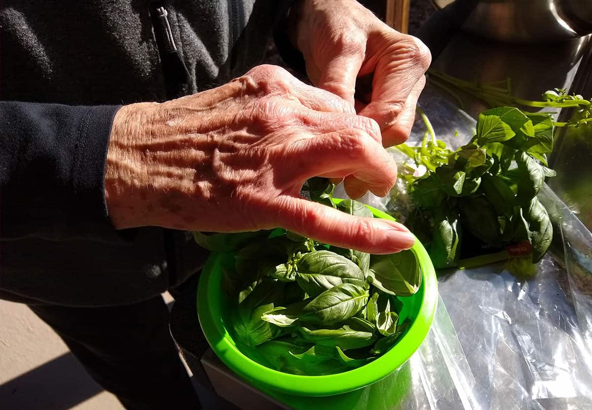 5 Senses garden cooking class