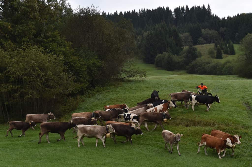 Taxing livestock might not curb consumer habits.