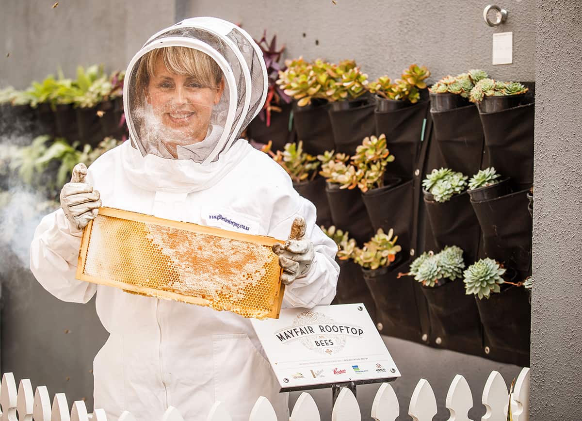 Bethany Finn with Mayfair bees