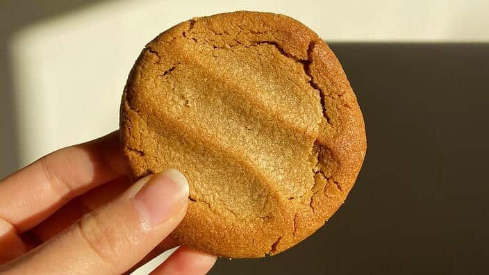 Peanut butter biscuit in the morning light (Camellia Aebischer)