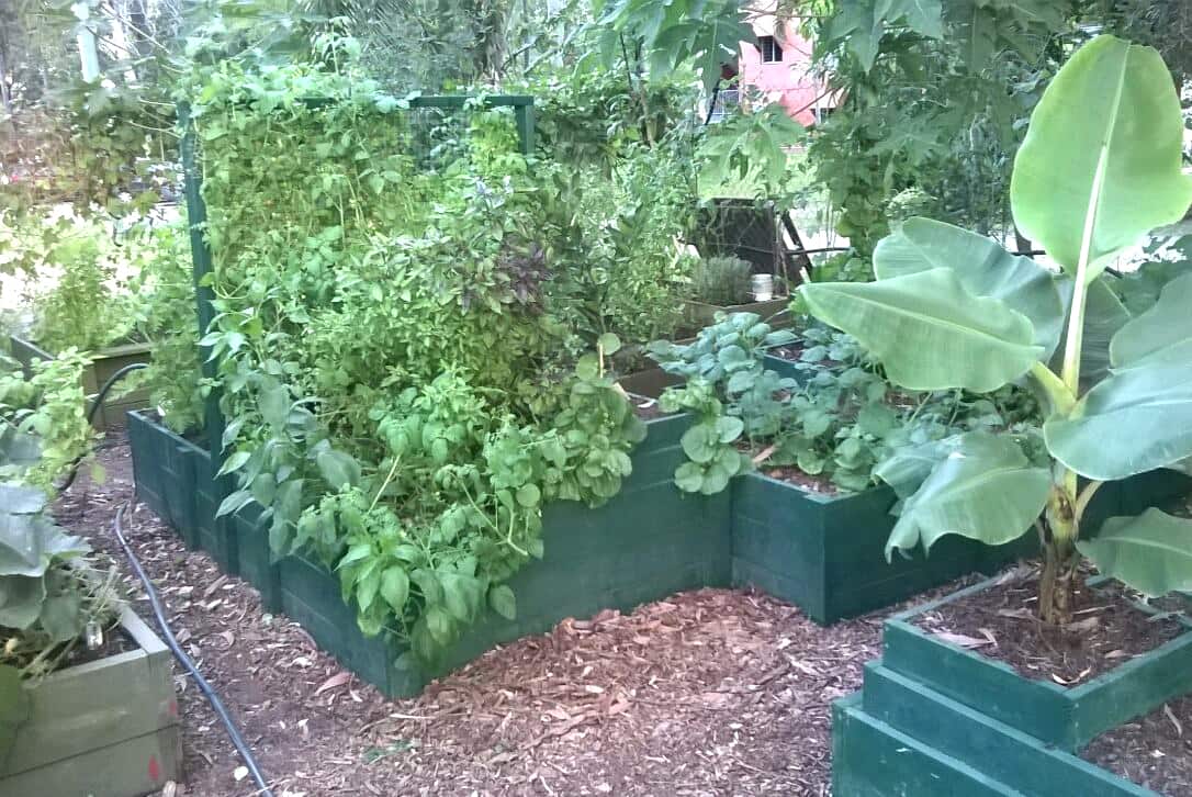 Bio-Regen at James Cook University