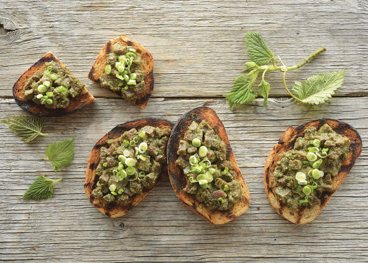 Chopped bison with nettle pesto