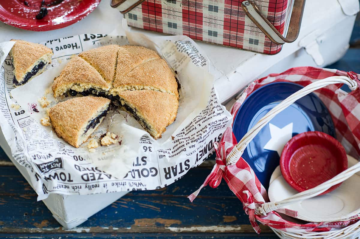 Blueberry ripple damper