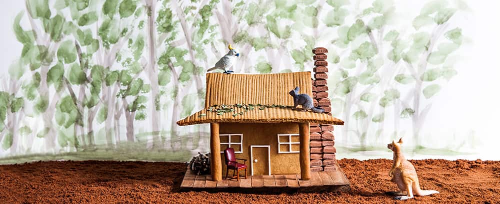 Gingerbread bush shack