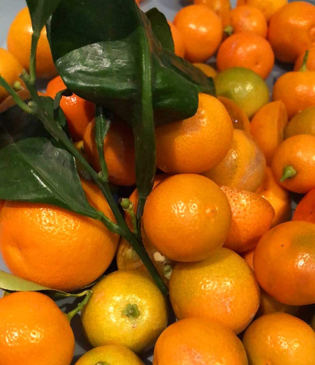 Could this Filipino staple be the new yuzu?