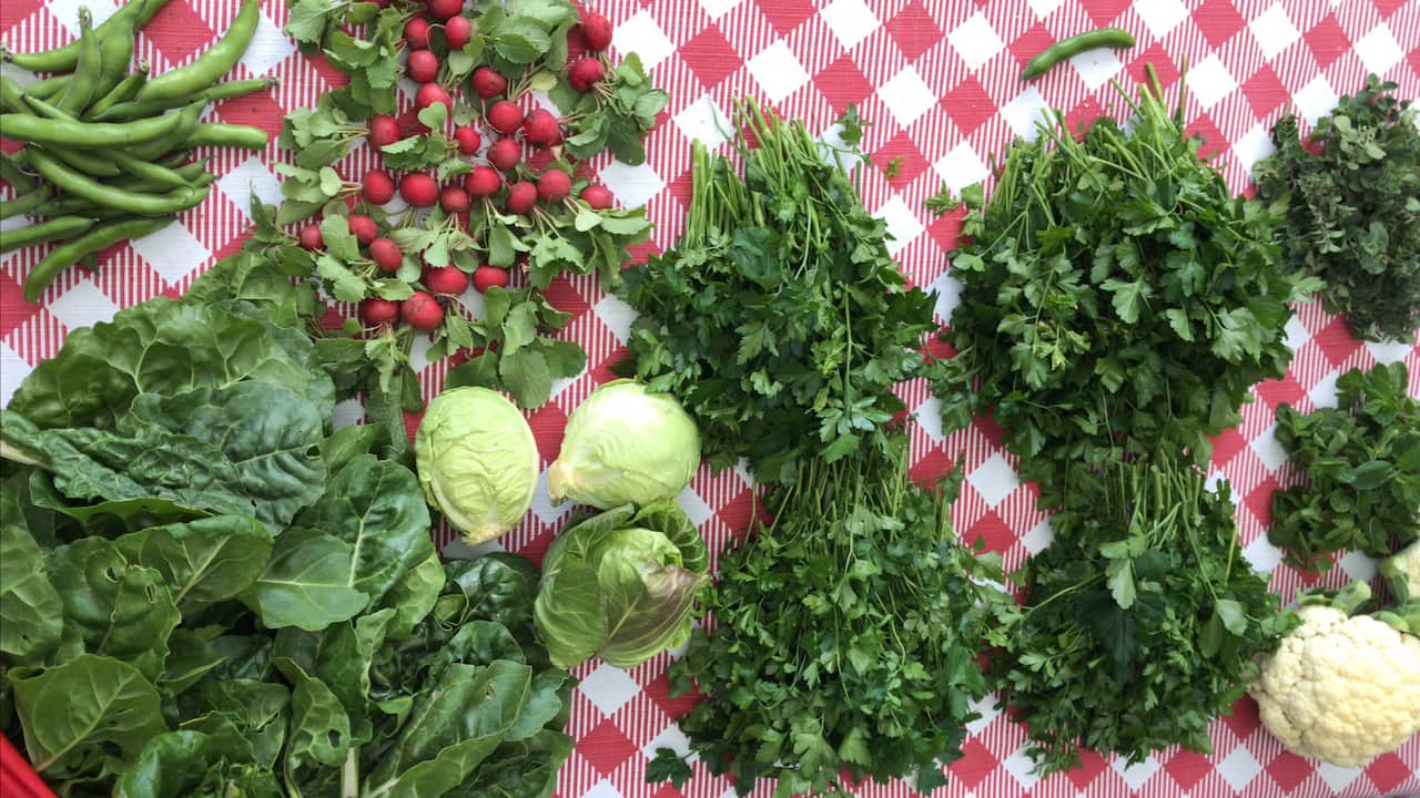 Beiruti moghrabieh recipe.