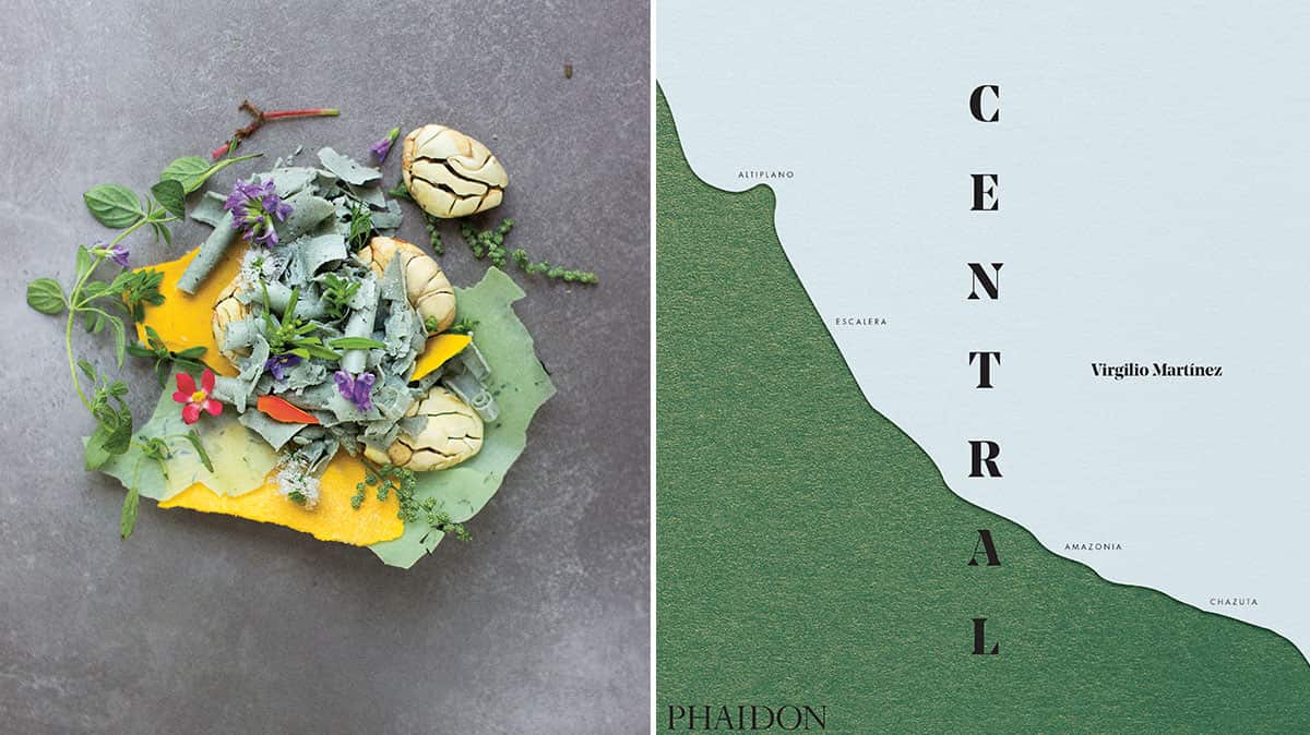 Central book cover and recipe