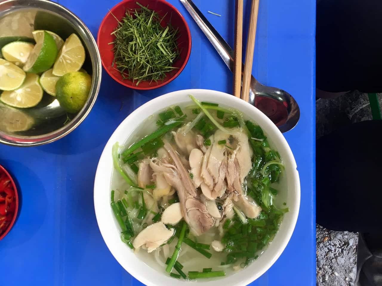 Vietnamese chicken noodle soup (pho)