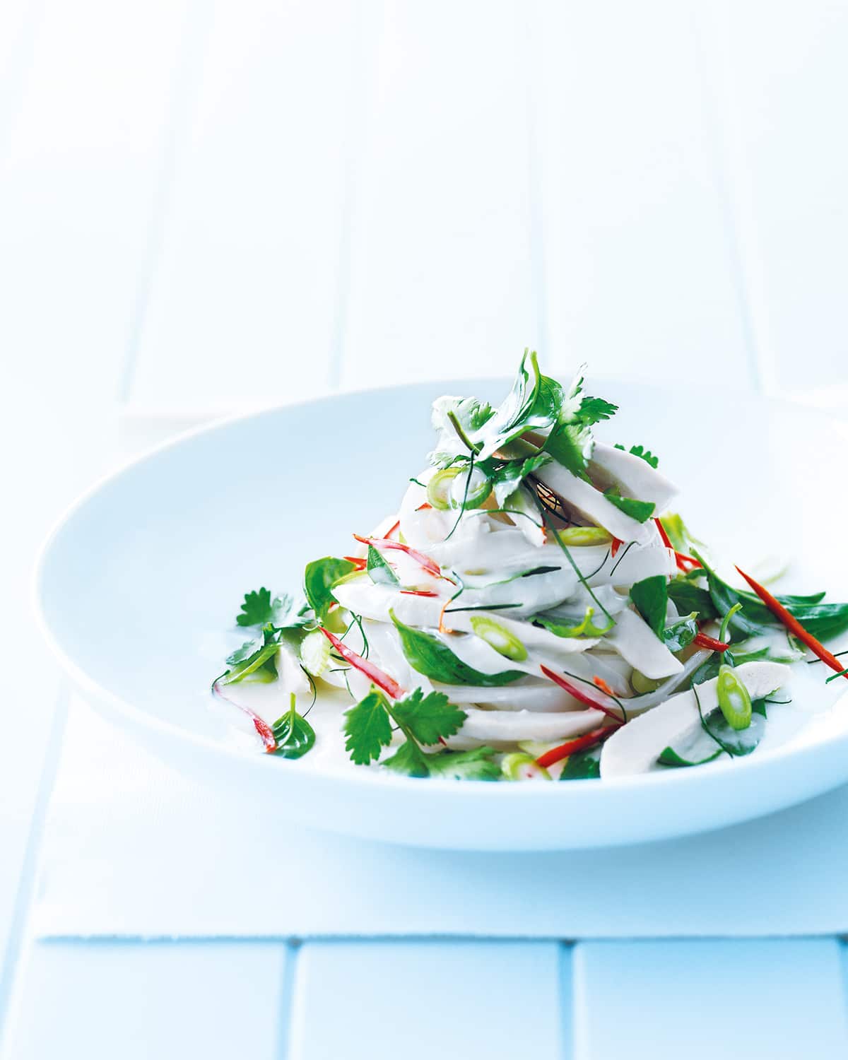 Chicken rice noodle salad with coconut milk dressing