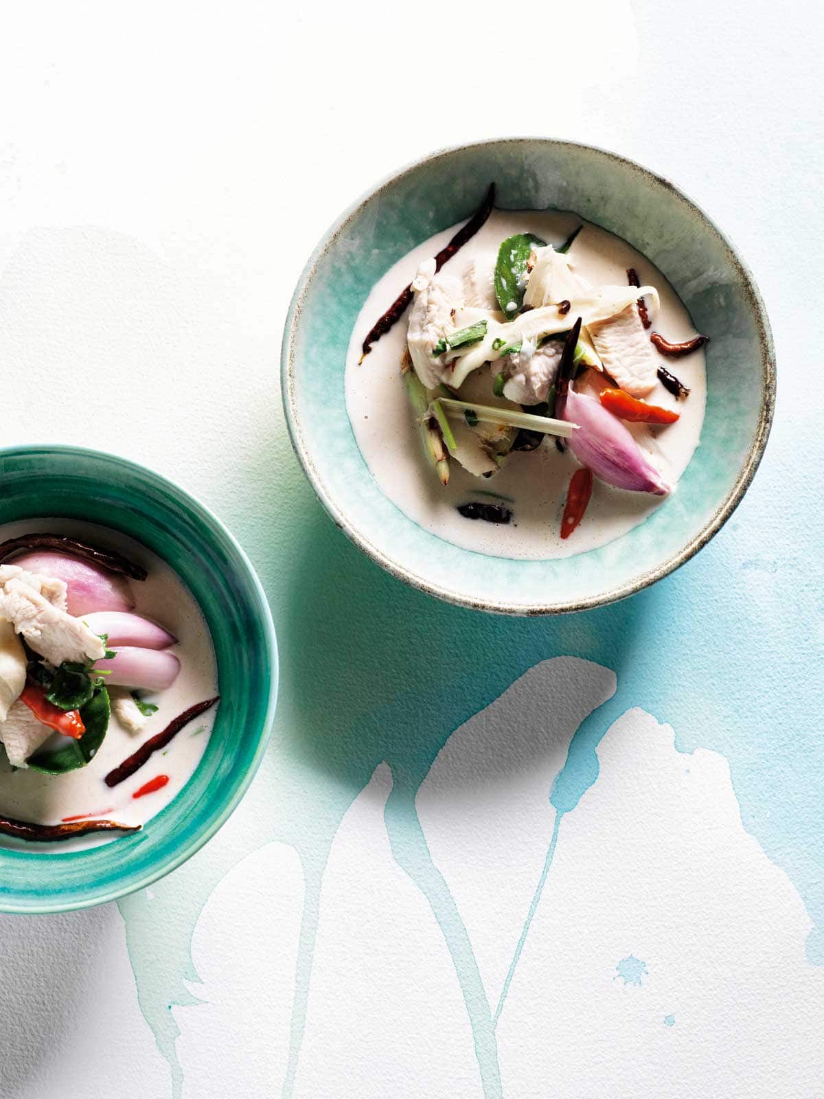 Chicken, coconut and galangal soup